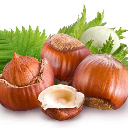 KTS Hazelnut aroma 10ml